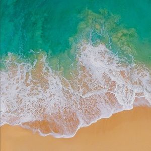 Meet your Posher, Savanna